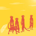 Erdmännchen, Sommer Juni