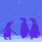 Pinguine, Winter Dezember