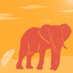 Elefant, Sommer Juli