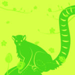 Lemur, Frühling März
