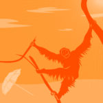 Orang-Utan, Sommer August