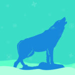 Wolf, Winter Februar
