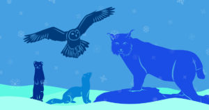 Winter Spezial Hermeline, Eule, und Luchs