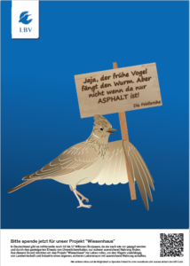 Feldlerche_Protest